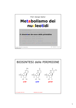 Metabolismo dei nucleotidi