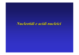 Nucleotidi e acidi nucleici