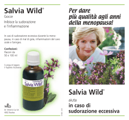 Salvia Wild