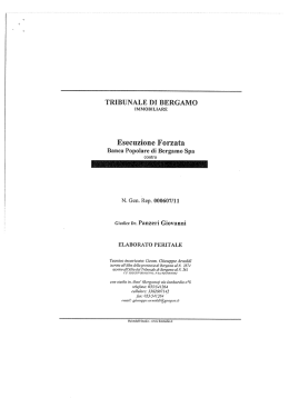 Page 1 TRIBUNALE .DI BERGAMO IMMOBILIARE Esecuzione