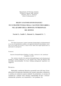 NACCARI F., MINUTOLI S., LO SCHIAVO A., PASSANTINO M