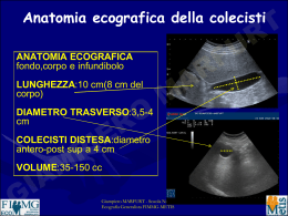 anatomia ecografica delle vie biliari - dr. giampiero