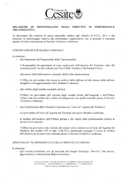Report intermedio Gestione del Territorio