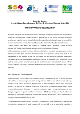 Linee Guida per la realizzazione del Piani di Azione per l`Energia