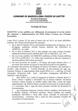 verbale di gara affidamento servizi piano azione energia sostenibile