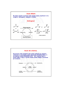 Enzimi REDOX Deidrogenasi Riciclo del cofattore