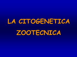 5 La citogenetica_zootecnica_