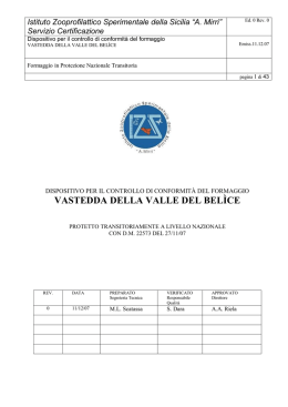 VASTEDDA DELLA VALLE DEL BEL&Igrave;CE