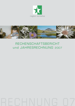 Jahresbericht 2007