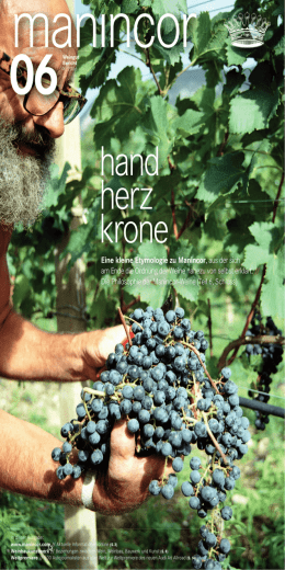 // Eine kleine Etymologie zu Manincor, aus der sich am - Micado-IT