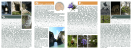 Sfoglia on-line