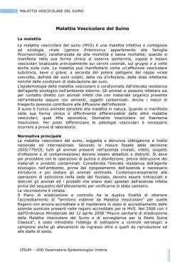 malattia vescicolare del suino - IZS dell`Umbria e delle Marche