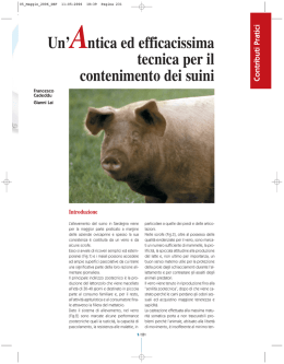 Un`Antica ed efficacissima tecnica per il contenimento dei suini