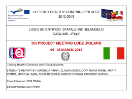 Students` Report - Liceo scientifico Michelangelo