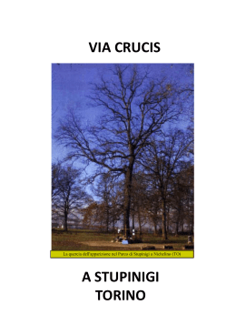 VIA CRUCIS - WordPress.com