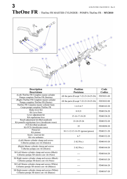 TheOne FR &ndash; TheOne FR MASTER CYLINDER - POMPA