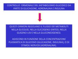controllo ormonale del metabolismo glucidico da parte di glucagone
