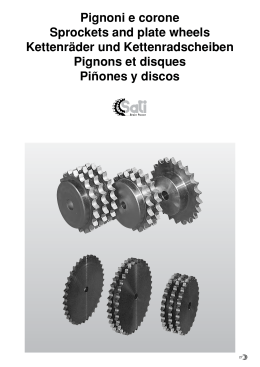 Pignoni e corone Sprockets and plate wheels Kettenräder