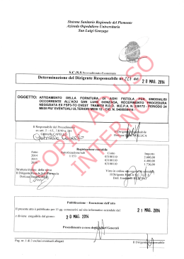 Determinazione del Dirigente Responsabile nr.Z(} del