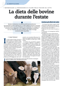 La dieta delle bovine durante l`estate