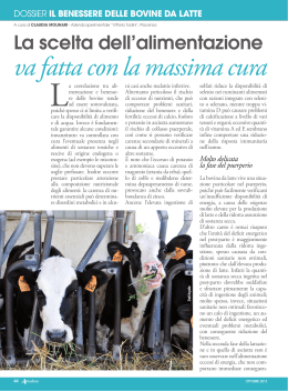 Il benessere delle bovine da latte