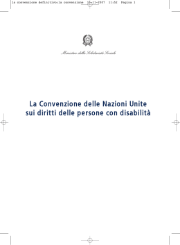 Convenzione ONU - Regione Campania