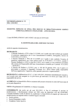 Determina n. 7/2013 - Comune di Alfianello