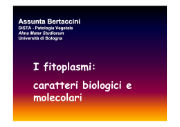 Intervento Prof.ssa Bertaccini