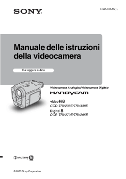 Manuale delle istruzioni della videocamera