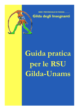 Guida pratica per le RSU Gilda-Unams