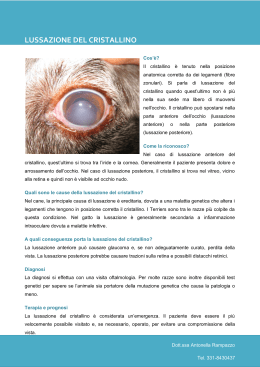 lussazione del cristallino - Oculista per animali Dott.ssa Antonella