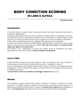 BCS - Body Condition Scoring
