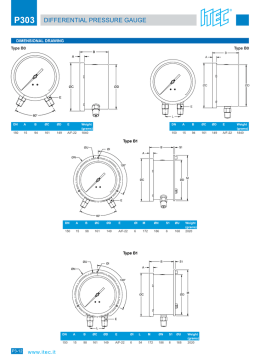 P303 DIFFERENTIAL PRESSURE GAUGE