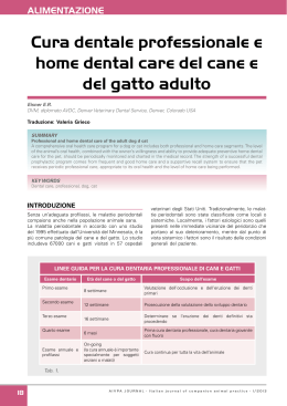Cura dentale professionale e home dental care del cane e