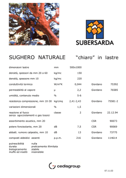 SUGHERO NATURALE &ldquo;chiaro&rdquo; in lastre