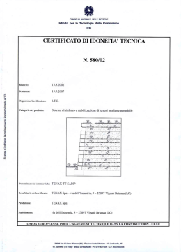 Sistema di rinforzo e stabilizzazione di terreni mediante geogriglie