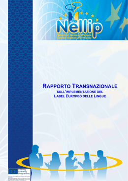 rapporto transnazionale - NelliP - pixel