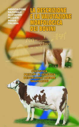 Manuale Valut Morf