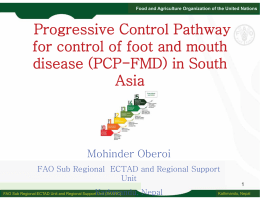 Progressive Control Pathway for control of Foot and Mouth Disease