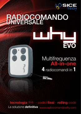 del radiocomando