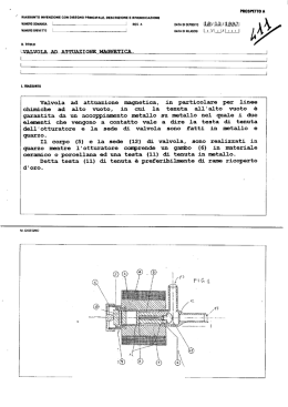 Testo depositato - 411_tbi