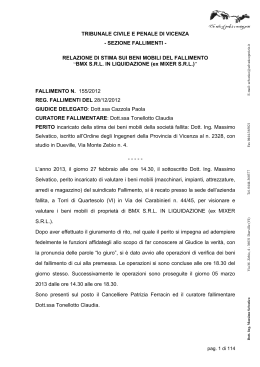 perizia on-line