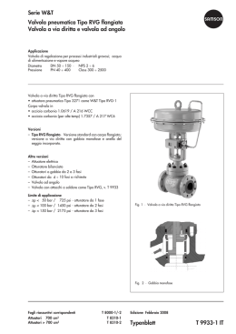 Serie W&T Valvola pneumatica Tipo RVG flangiata Valvola a via