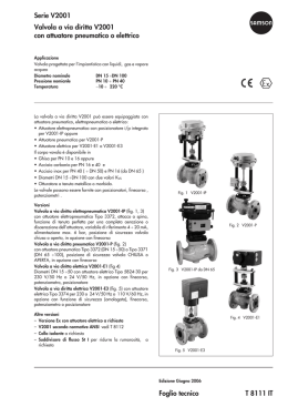 Serie V2001 Valvola a via diritta V2001 con