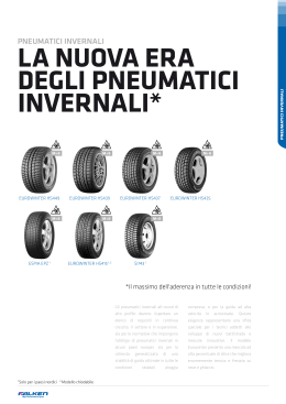 DEGLI PNEUMATICI INVERNALI*