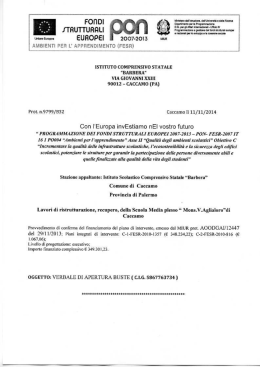 verbale di apertura buste documentazione tecnico