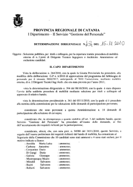 Determinazione Dirigenziale n° 454 del 16/11/2010