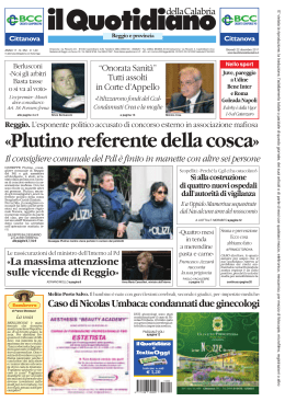 «Plutino referente della cosca»
