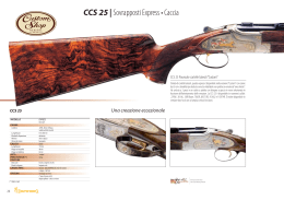 CCS 25 | Sovrapposti Express • Caccia