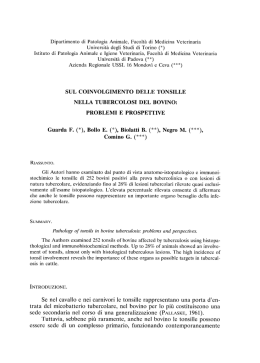 Dipartimento di Patologia Animale, Facoltà di Medicina Veterinaria